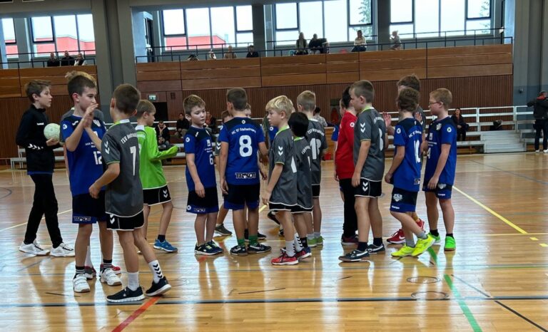 Jugendhandball in Neutraubling